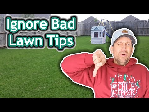 The Worst Lawn Care Advice I&#039;ve Ever Heard &amp; Why I Ignored It / 3 Easy Lawn Tips to Fix an Ugly Lawn