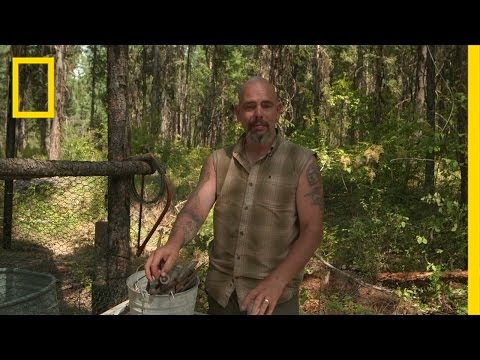 Making Traps For Things That Sting | The Boonies