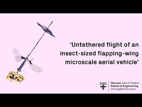 The Untethered RoboBee