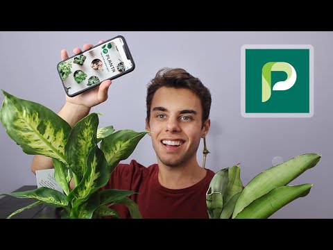 Planta App Review and How to Use!