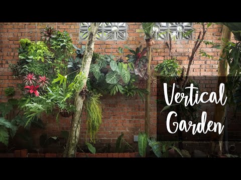 How to make a Vertical Garden: Full DIY Guide with Design Tips, Materials and Plant Choice