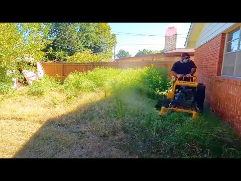 The COPS FORCED ME TO LEAVE AFTER I STUMBLED ON A CRIME SCENE during FREE overgrown lawn MOWING