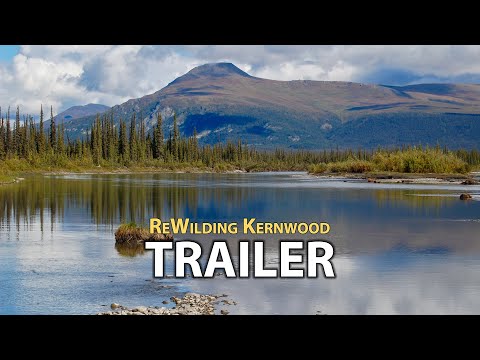 &quot;ReWilding Kernwood&quot; - Official Trailer