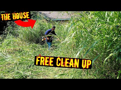 I FOUND A HOUSE! --- FREE OVERGROWN YARD MOWING