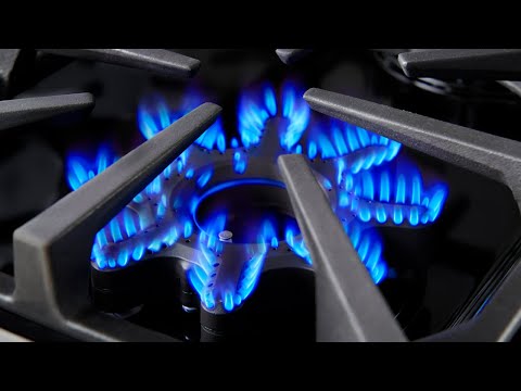 Bluestar X8 Dual Fuel Burner