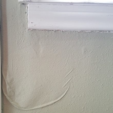 kitchen-wall-water-damage-mold