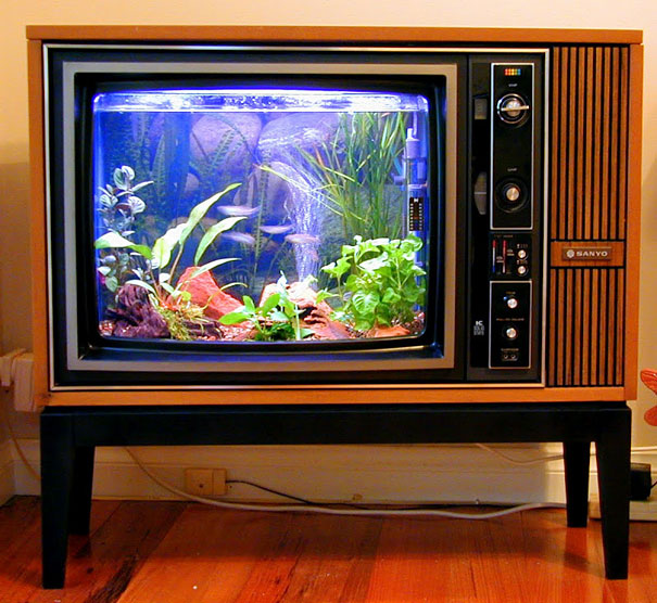 Old TV Box Upcycled to Aquarium