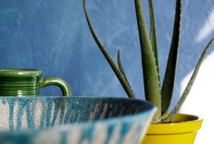 Aloe Vera Plant to Help Sleeping