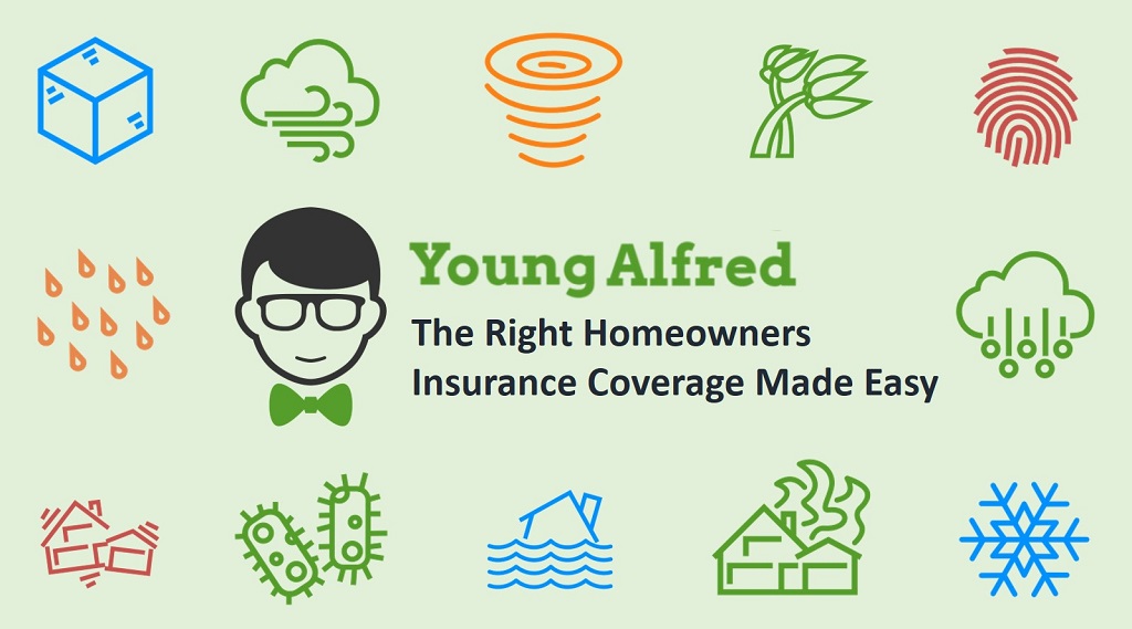 4 Reasons to Use Young Alfred to Purchase Homeowners Insurance