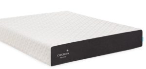 Cocoon Chill Mattress by Sealy