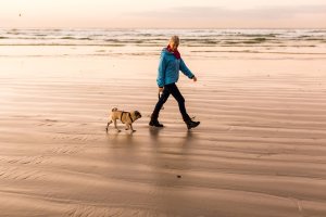 Elder Woman walking with dog on beach