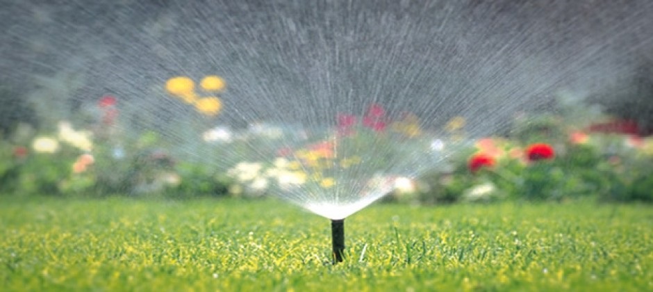 Improve Your Landscaping with a Smart Irrigation System
