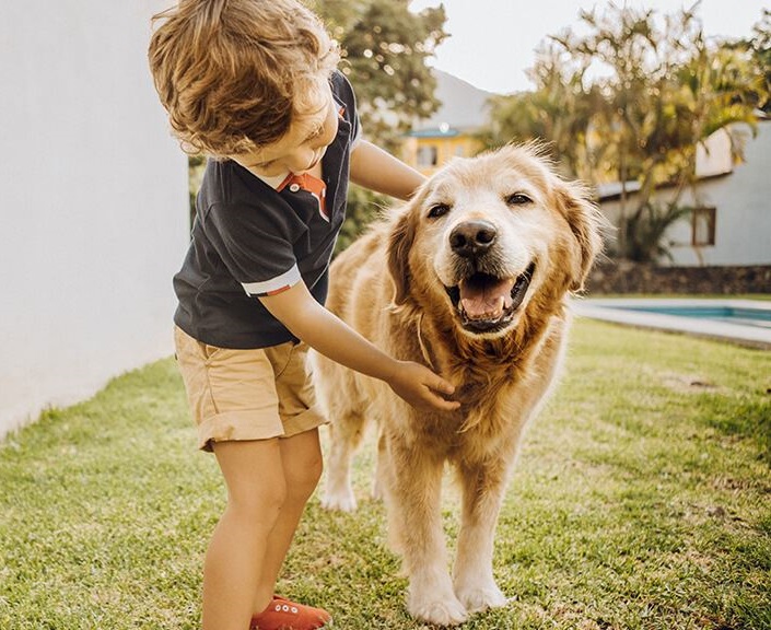 DoodyCalls Smiling Dog with Boy in Yard
