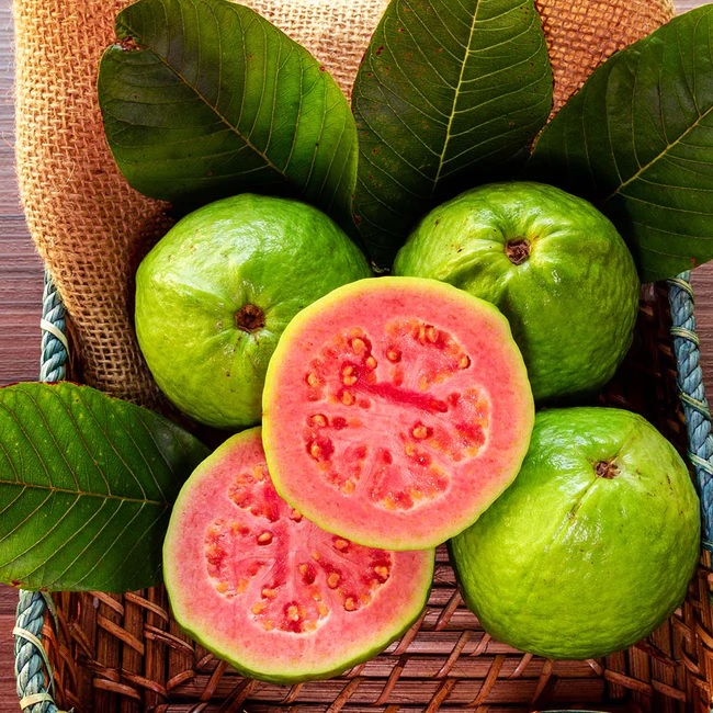 Guava Fruit Cut Open