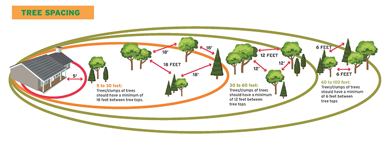 National Fire Protection Association (NFPA) Recommended Tree Spacing in Zones 1 and 2 for Firescaping