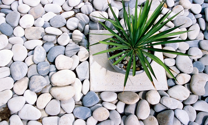 Rock Garden with Plant in Container on top of a Stone Slab