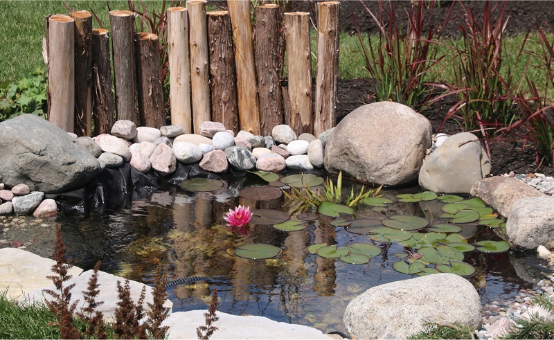 Small Pond with Lilies and Large Rocks in a Sensory Garden