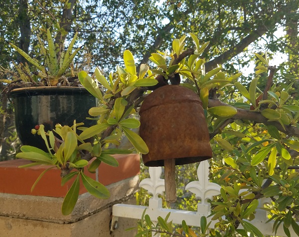 Tin Goat Bell as a Wind Chime