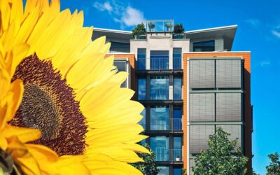 Smart Solar Panel Blinds Inspired by Sunflowers