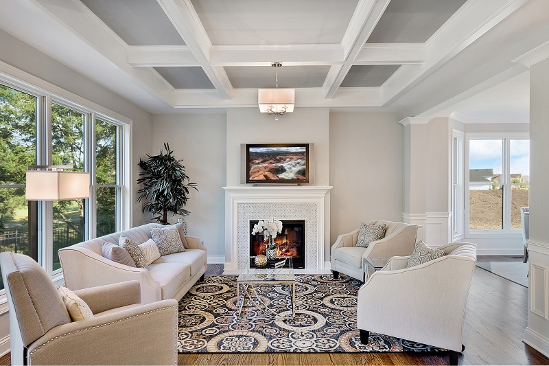 Transitional Living Room with Geometric Patterned Rug