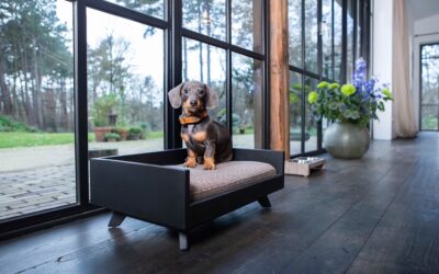 18 Innovative Products to Make Your Home Pet-Friendly & Pet-Safe