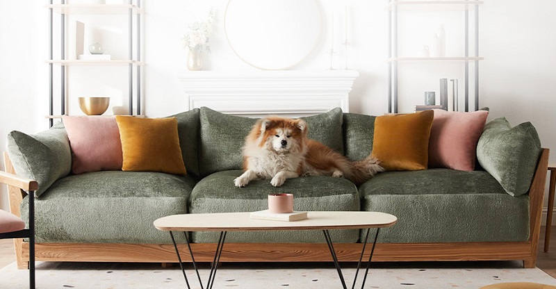 Inside Weather dog relaxing on green Bondi pet-friendly sofa