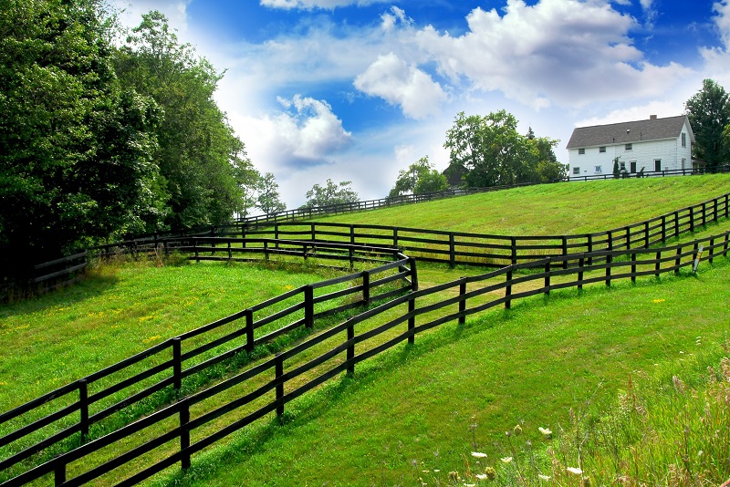 White Rural Home with Horse Fencing and Acreage