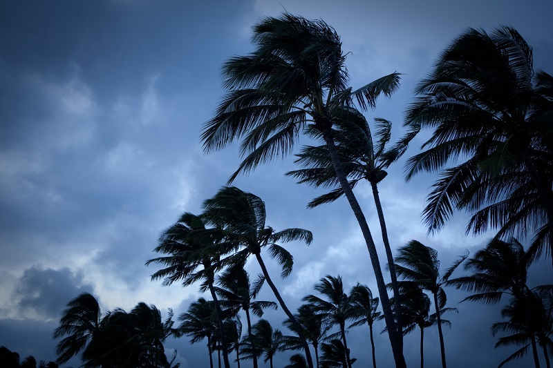 Hurricane threatening winds near a Florida beach