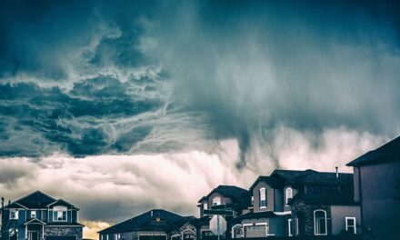 Best Roof Types to Prevent Storm Damage