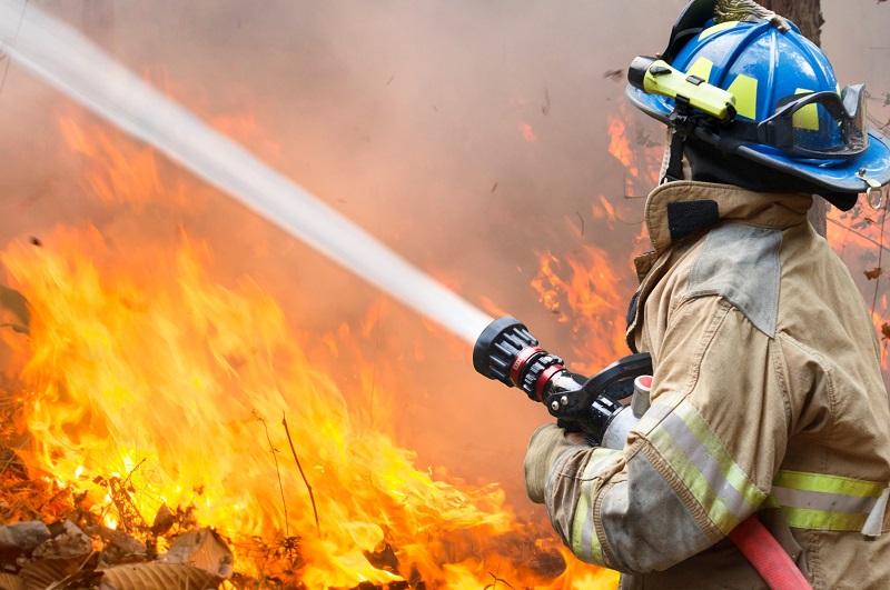 Firefighter hosing down wildfire
