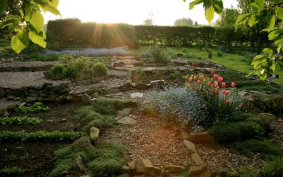 How to Design a Beautiful Self-Sustaining Permaculture Backyard