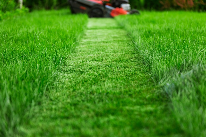 Close up view of lush lawn being mowed 