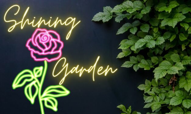 How to Make Your Nights Brilliant with a Shining Garden