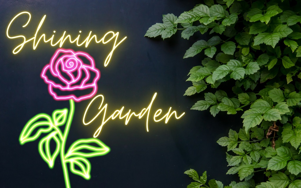 How to Make Your Nights Brilliant with a Shining Garden
