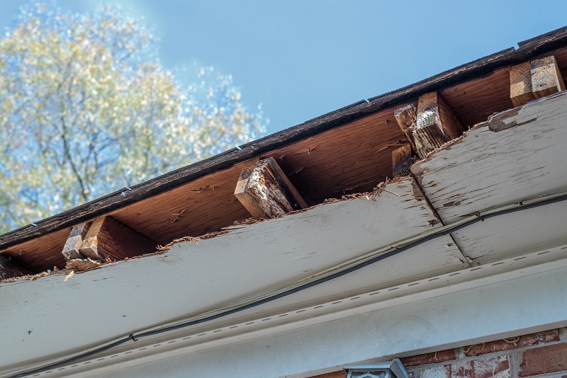 Soffits and rafters in need of repair due to wood rot