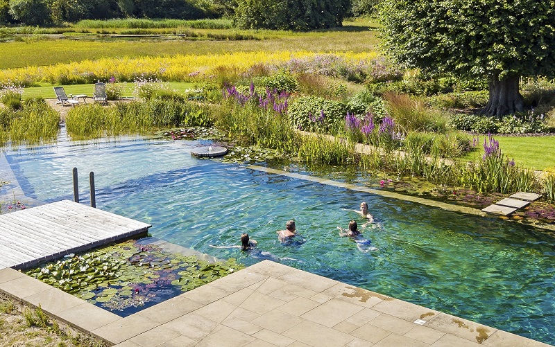 Biotop natural pool in Lincolnshire UK