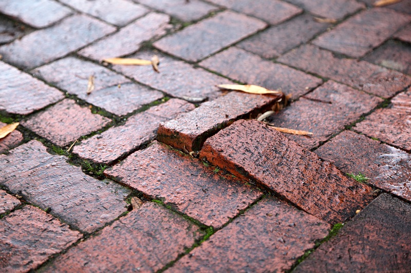 Homeowner trip hazard, raised brick in sidewalk