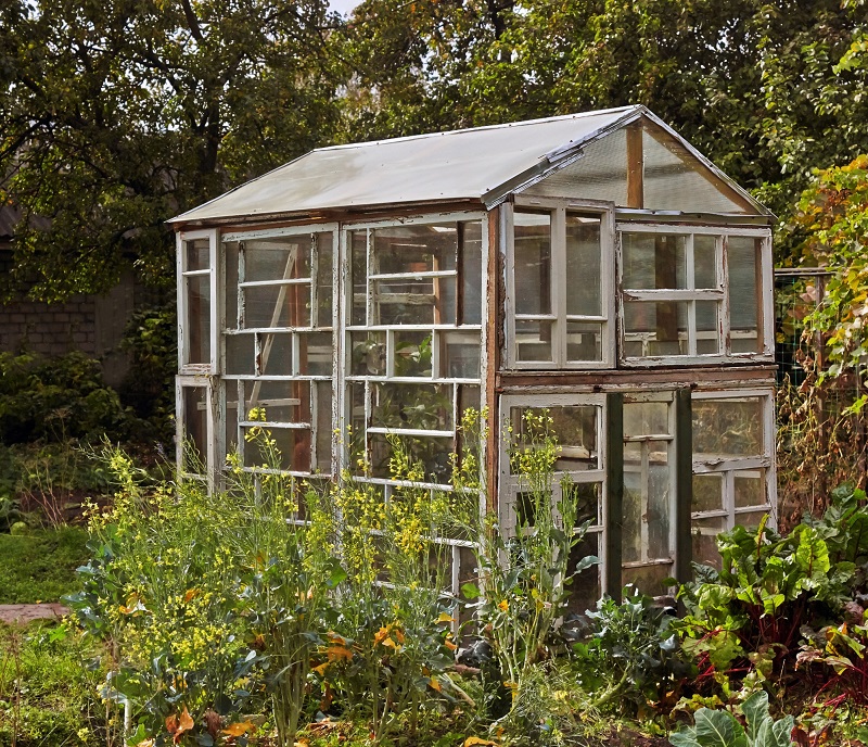 A backyard greenhouse made with upcycled windows