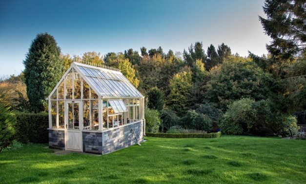 Greenhouse Design Ideas to Fit Your Home & Gardening Style