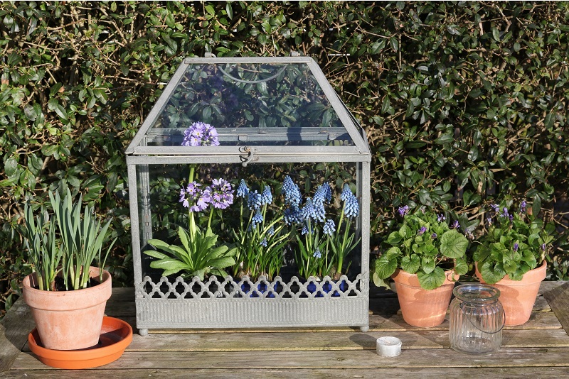 Miniature glass greenhouse on wooden bench