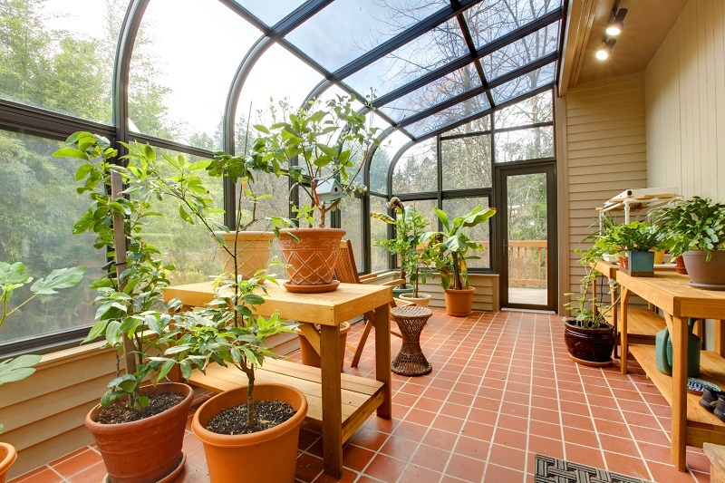 Sunroom converted to a large lean-to greenhouse