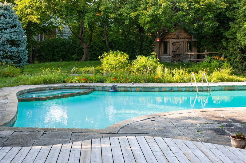 Backyard concrete pool situated in a natural setting