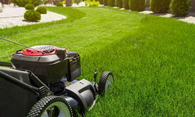 5 Effective Lawn Mowing Tips for a Professional Look