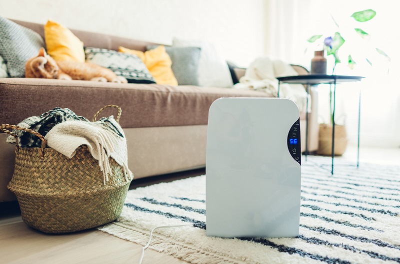Modern dehumidifier in living room