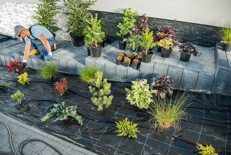 Landscaper planting decorative plants along uphill driveway