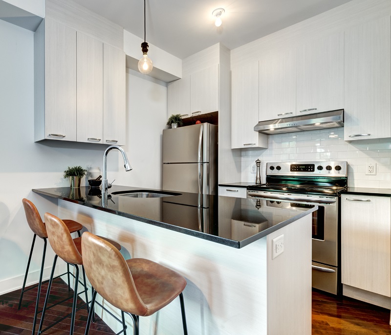 Small upgraded apartment kitchen