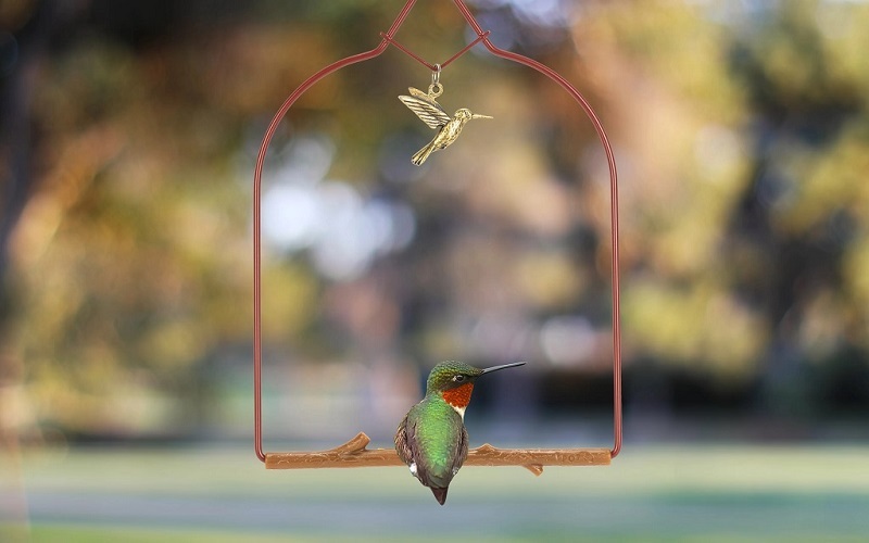 Hummingbird resting on a Pop's Hummingbird Swing in the