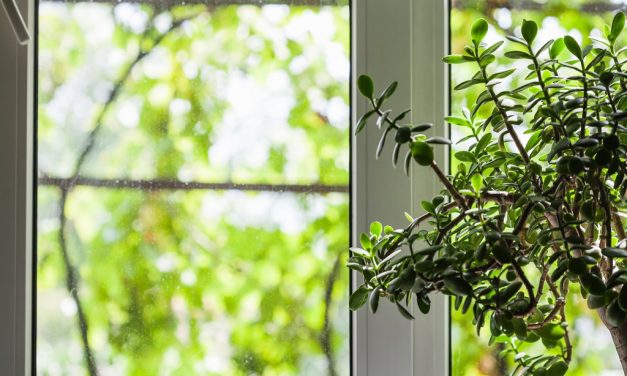 The Best Time of Year to Replace Windows and Doors