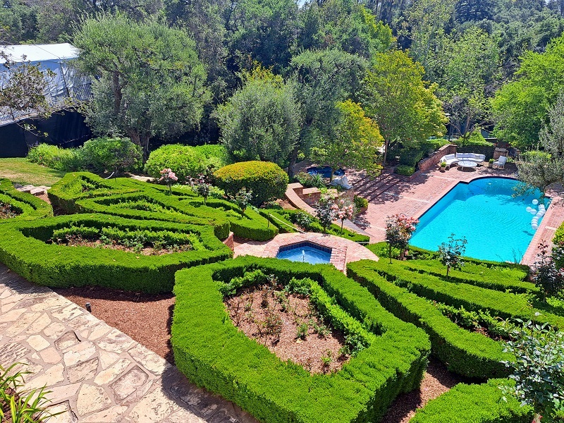 Pasadena Showcase House Bauer Estate & Gardens: a view of the Butterfly Star Rose Garden and swimming pool from the side terrace of the main house