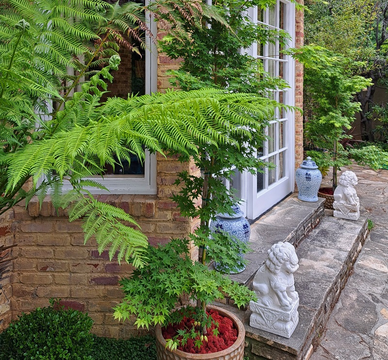 Decorated stone steps leading from the Great Room at Bauer Estate & Gardens, the 2025 Pasadena Showcase House, 